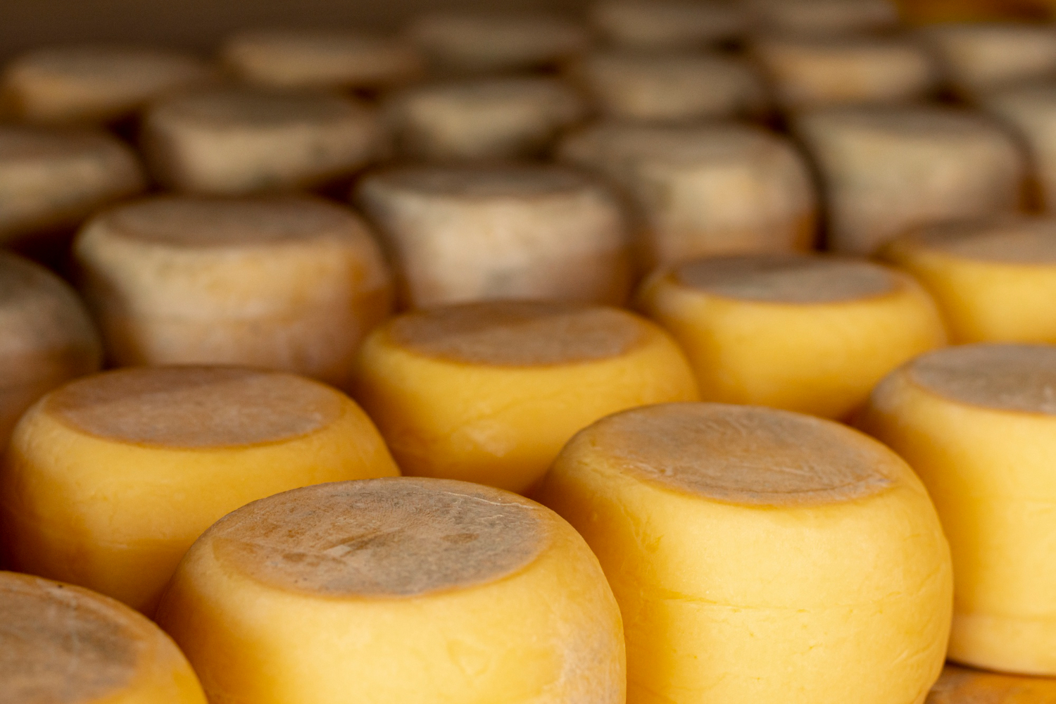 quesos para probar en Asturias